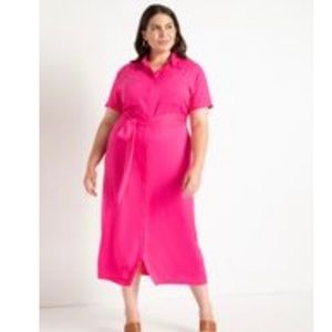 NWT pink button down dress